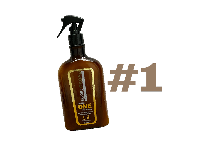 Export CACAU ONE - Paso 1